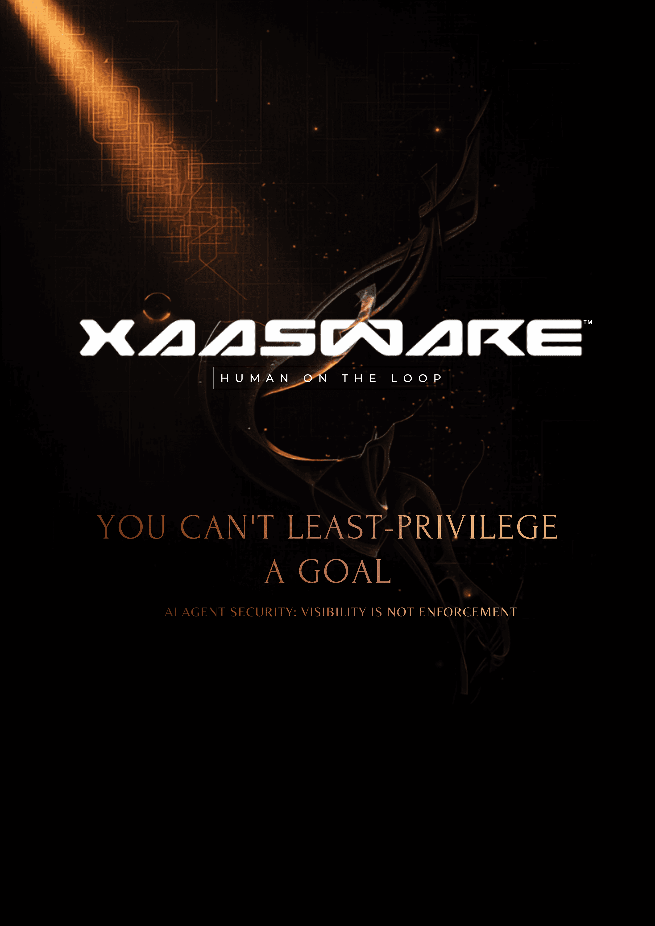 You Can't Least-Privilege a Goal